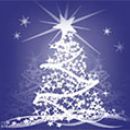 Milpitas Parks & Recreation - Festival of Trees